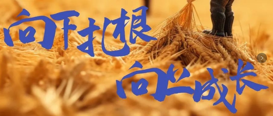 向下扎根，向上成長(zhǎng)，司普沃6月市場(chǎng)服務(wù)一線效果反饋